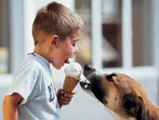 Качественное мороженое очень полезно, даже детям оно показано, начиная с трех лет. Фото с сайта novaya.com.ua