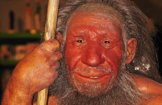 Homo neanderthalensis. Фото: focus.ua 