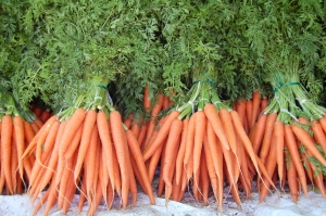 Морковь отлично восполняет дефицит витамина А. Фото: www.sxc.hu