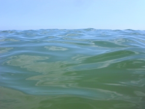 За выходные на один градус подстыла вода на Азовском море. Фото: www.sxc.hu