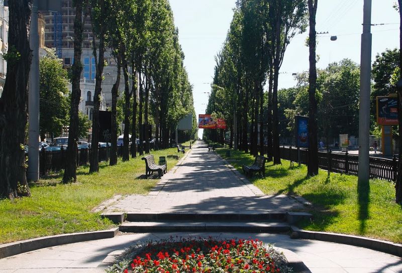 Новость - События - Поздравили: в центре Киева появился символический тополь для Кобзаря