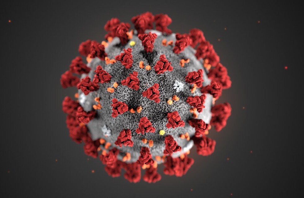 Вылечит только детская моча: 6 интересных мифов про коронавирус  фото