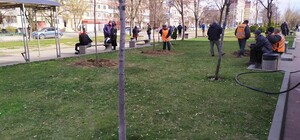 Дыши свободней: на Левом берегу высадили десятки деревьев (фото)