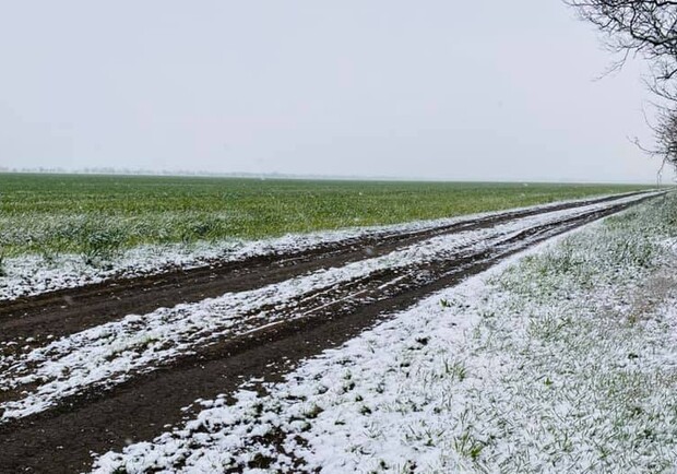 Уже не ждали: в Одессе и области выпал снег фото
