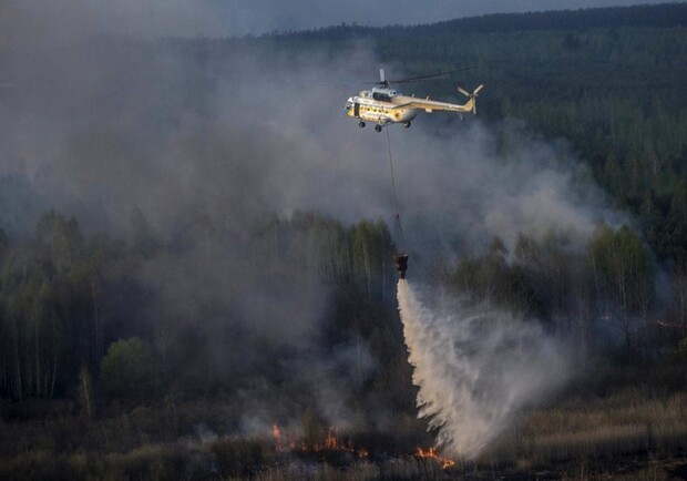 Тушат с воздуха: пожар в Чернобыльском лесу опять разгорелся фото