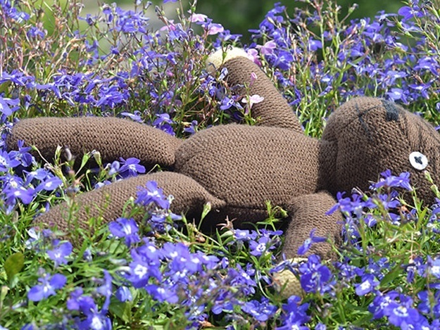 Доброе утро, Запорожье: о чем говорит город 23 марта