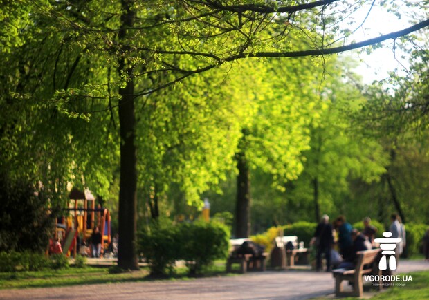 Будет легче дышать: в Киеве высадили новые деревья фото
