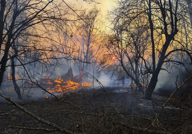 Ад в Чернобыле: пожар в лесах не могут потушить уже неделю фото