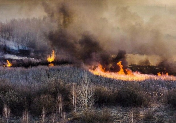 Снова горит: в лесах Чернобыльской зоны заметили новые возгорания фото