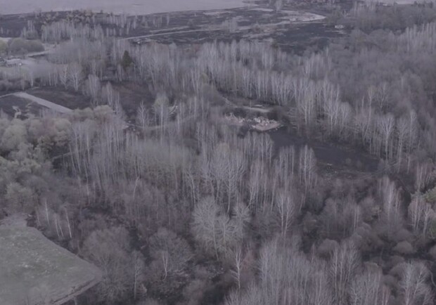 Последствия пожаров в Чернобыльской зоне показали с высоты птичьего полета фото