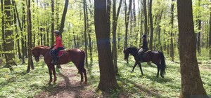 Фото дня: Сиховом гуляють вершниці