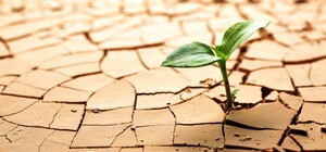 Одесский митрополит молился о дожде: его попросили аграрии 