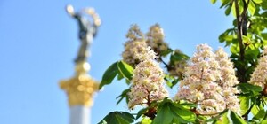 Вопрос ребром: День Киева в этом году могут отменить