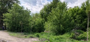 Какие молодцы: на Мазепы волонтеры расчистили 