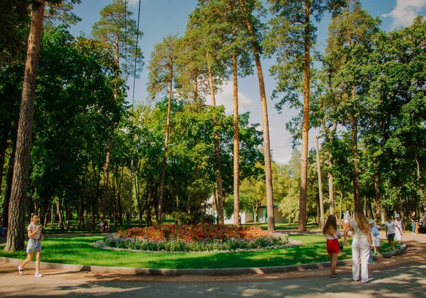 Руки чесались: в парке "Пуща-Водица" подростки уничтожили цветы и стенды фото