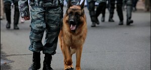 Несподівана знахідка: на Сихові виявили небезпечний предмет