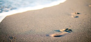 Позагораешь на чистом: в парке 