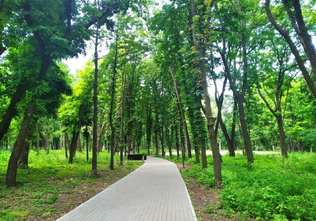 Найти космонавта или поработать: чем заняться в днепровском парке Гагарина