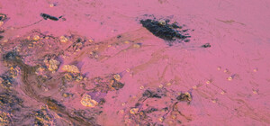 Из-за жары: одесский нацпарк «Тузловские лиманы» стал розовым