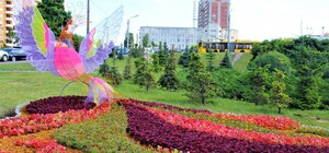 Полюбуйся: на Шулявке появилась новая цветочная локация