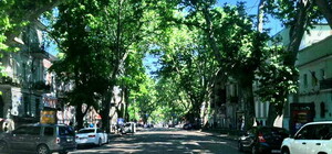 Пробка в центр: на Пушкинской стало больше полос (обновлено)