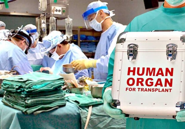 В Полтаве будут делать операции по трансплантации почек. Фото: kalushnews.city