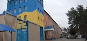 Интересная недвижимость: в Ирпене выставили на продажу тюрьму