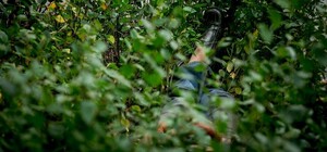 Спостерігає за дітьми і вдовольняє себе: у Сихівському лісі помітили ексгібіціоніста 