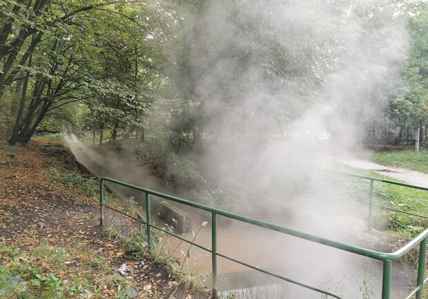 В Голосеевском парке Ореховатские пруды залило кипятком. Фото: Ольга Омельченко