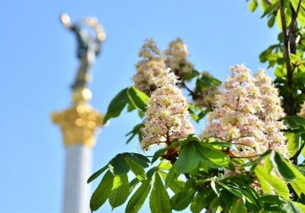 Совсем скоро можно будет приобрести настоящий аромат Киева. Фото: Управление туризма КГГА.