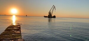 Спустя 10 месяцев Delfi наконец-то убрали с побережья: смотри видео