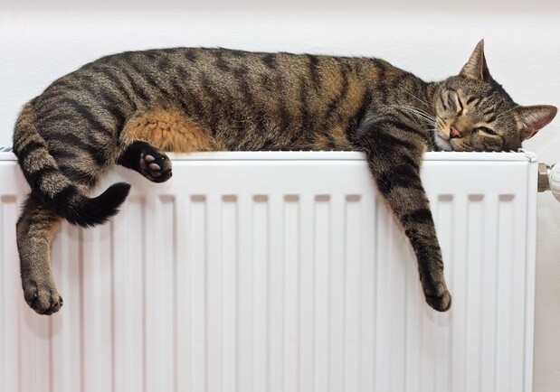 Городские власти заявляют, что готовы включать отопление. Источник фото: Pinterest