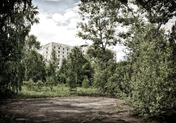 Радиоактивные овощи: в Чернобыльской зоне арестовали технику и урожай. Фото: Pixabay