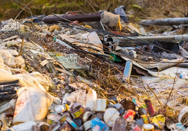 Кучи мусора: на Дарнице обнаружили незаконную свалку. Фото: Андрей Мальованый