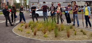 І зливи не страшні: на зупинці у Львові з’явився дощовий квітник