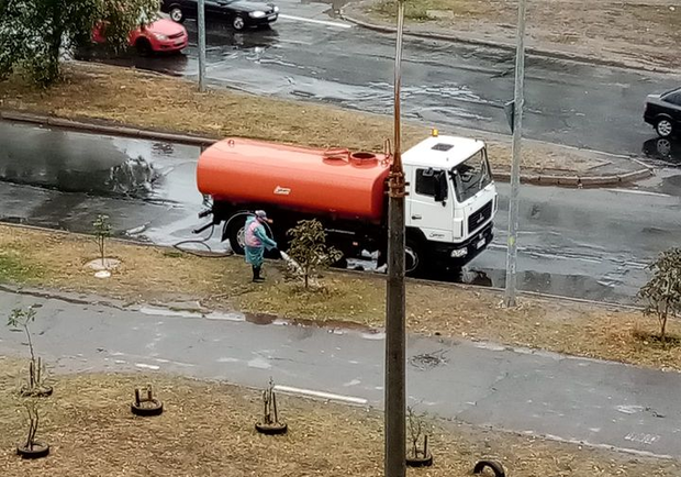 Полив в дождь: коммунальщики объяснили причину. Фото: "Киевзеленстрой"