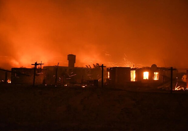 В Луганской области второй день горят леса. Фото: Офис Генпрокурора