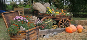 Местным на радость: в Пирогово открыли 