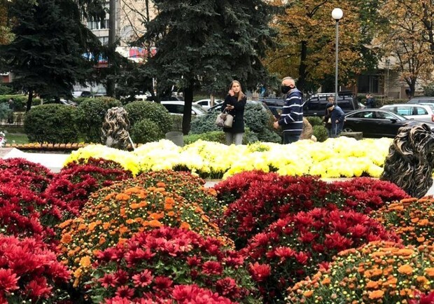 Показали и спрятали: с новой Мюнхенской площади пропали львы и цветы. Фото: Валерия Кушнир, Vgorode