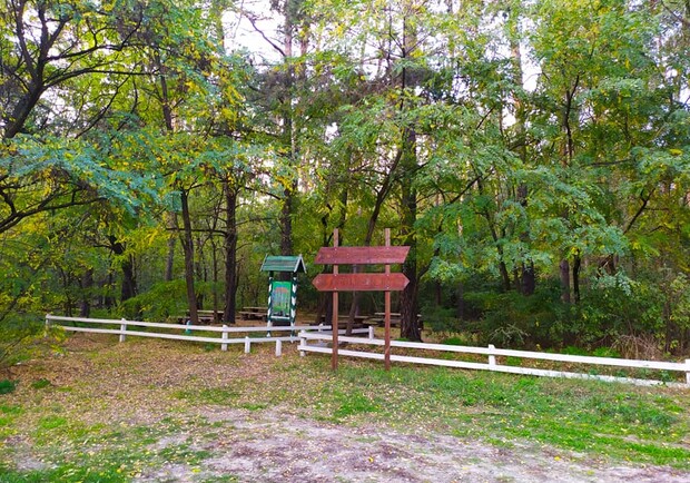 Жаль, что на зиму: в Дарницком лесу обновили две зоны для отдыха. Фото: "Киевзеленстрой"
