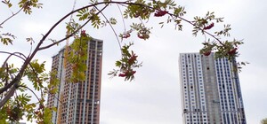 Зацени: на Теремках обновили и озеленили сквер