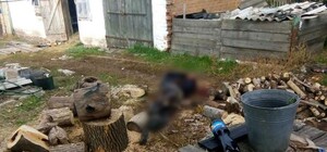 Несчастный случай: на Полтавщине мужчина зарезал себя бензопилой