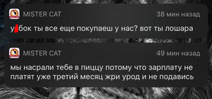 Приятного аппетита: ресторан Mister Cat отправил своим клиентам похабные сообщения