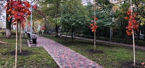Выходите на прогулку: на Лукьяновке обновили уютный сквер 