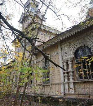 Гори ясно: в Пуще-Водице поджигают 