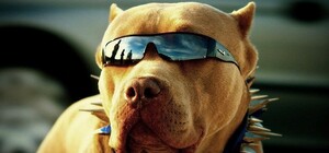 Пятница 13-е: какая погода будет в Запорожье сегодня