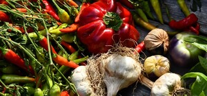 Где на этой неделе в Киеве пройдут продуктовые ярмарки. Адреса