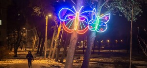 Бабочки, жуки и стрекозы: на ХТЗ деревья оккупировали светящиеся насекомые