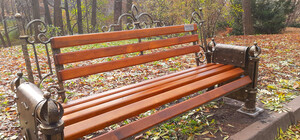 Скамейка юбиляра: в ботаническом саду Фомина появилось новое место для отдыха