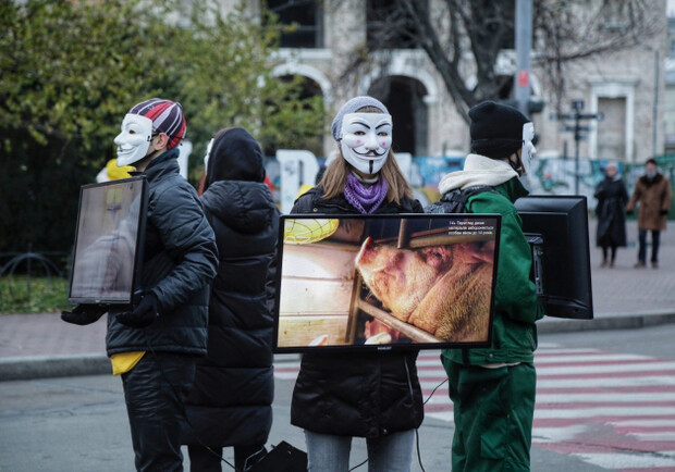 На Подоле активисты показали прохожим кадры забоя животных. Фото: Big Kyiv